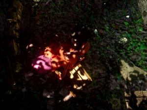 Три горячие телки футанари в чулках ебутся в лесу